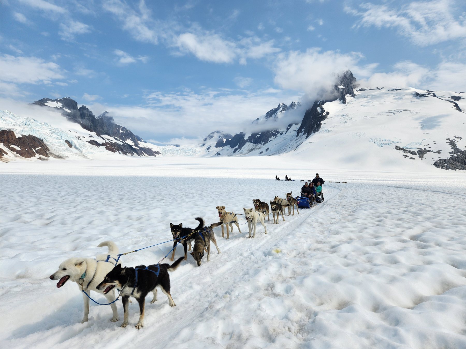 Dog sled on Denver Glacier, Skagway